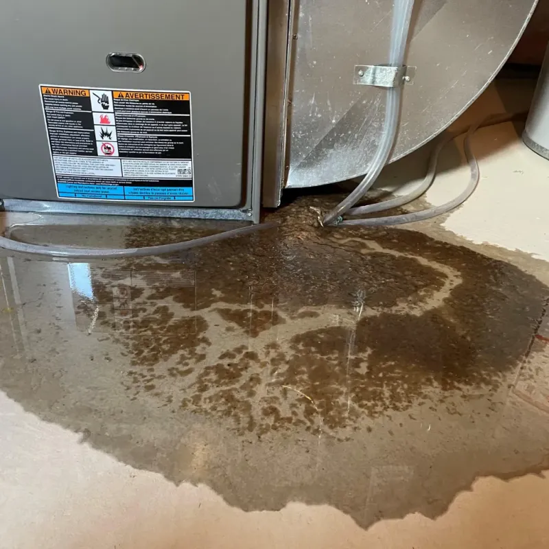 Appliance Leak Cleanup in Augusta, KY