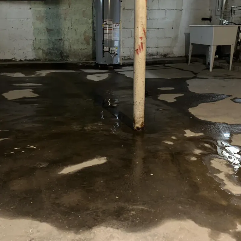 Emergency Water Extraction And Removal in Augusta, KY